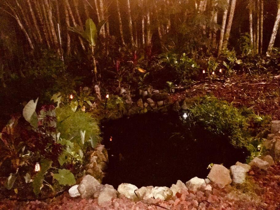 The Red Cottage And Hawaiian Pond Garden Paradise! Keaau Exterior photo